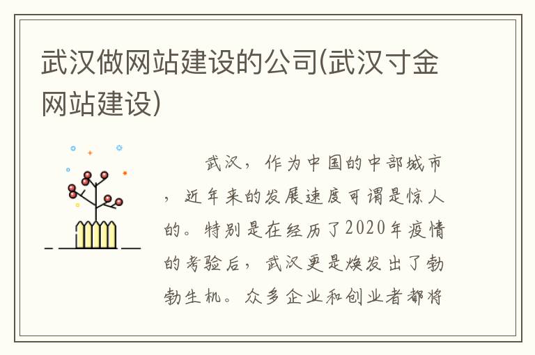 武汉做网站建设的公司(武汉寸金网站建设)