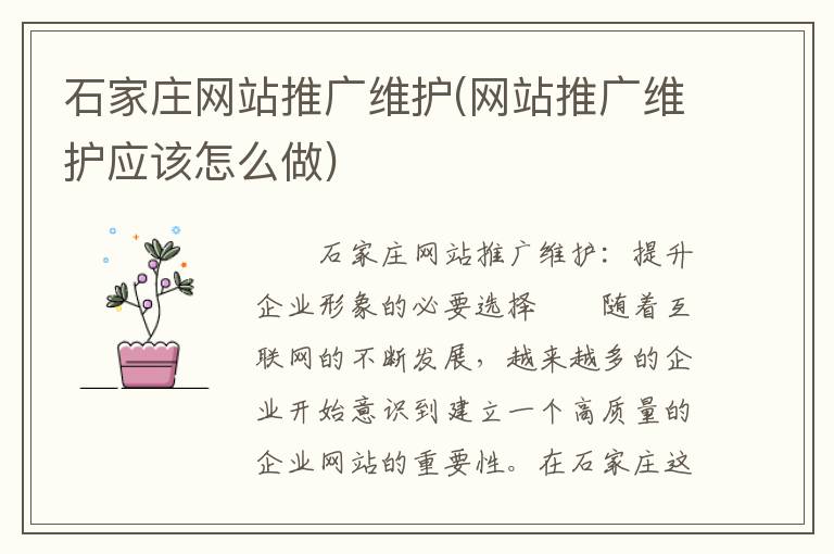 石家庄网站推广维护(网站推广维护应该怎么做)