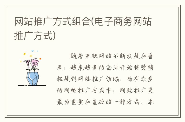 网站推广方式组合(电子商务网站推广方式)