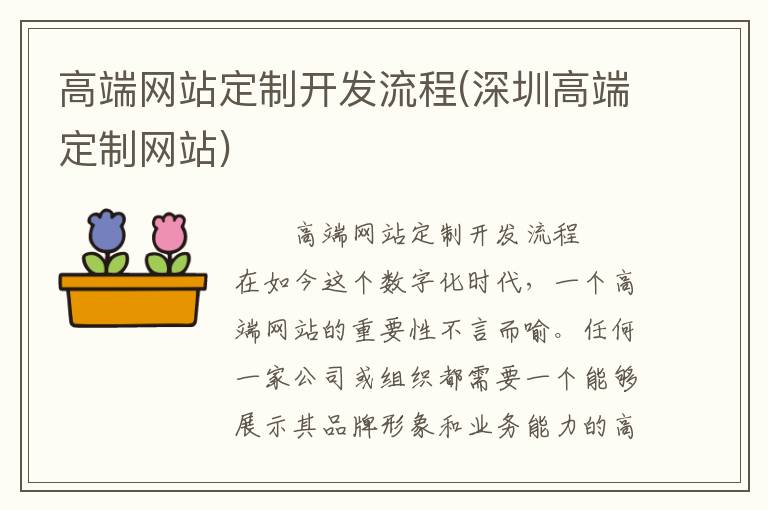 高端网站定制开发流程(深圳高端定制网站)