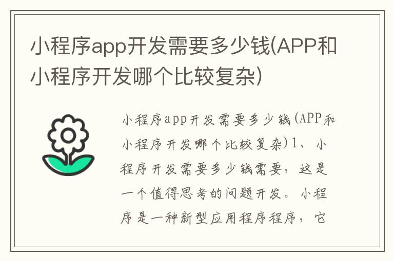 小程序app开发需要多少钱(APP和小程序开发哪个比较复杂)