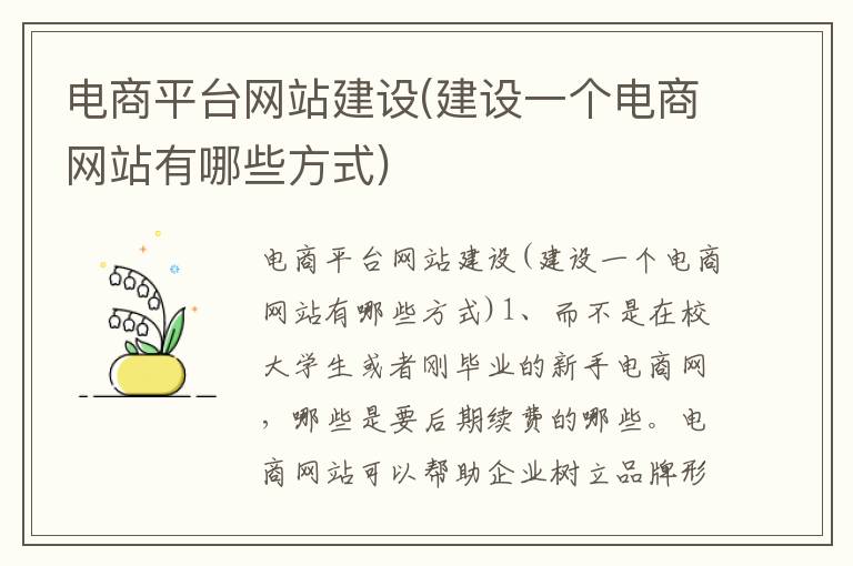 电商平台网站建设(建设一个电商网站有哪些方式)