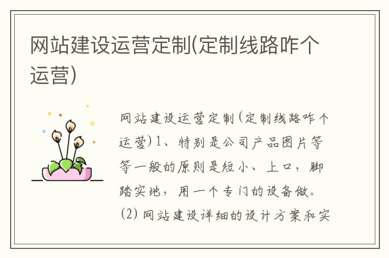 网站建设运营定制(定制线路咋个运营)